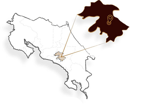 Tarrazu Region Of Costa Rica