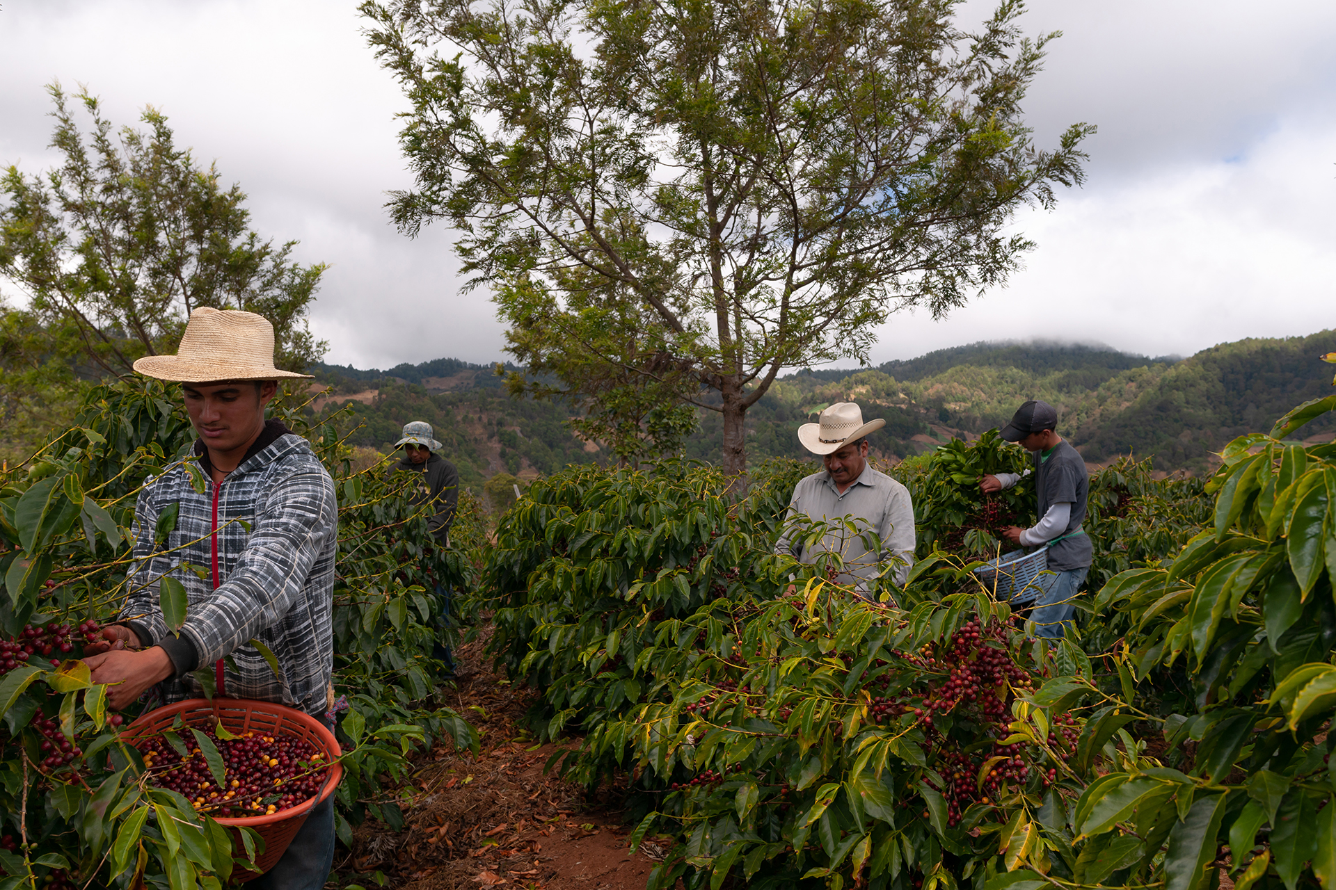 Guatemala Guatemala