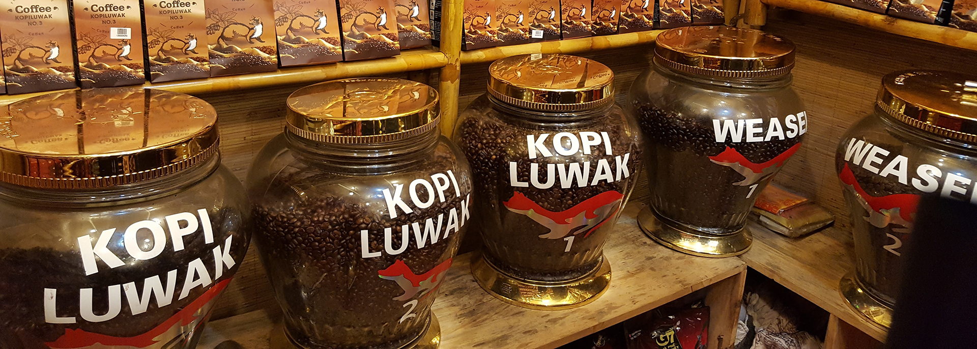 Kopi Luwak Kopi Luwak