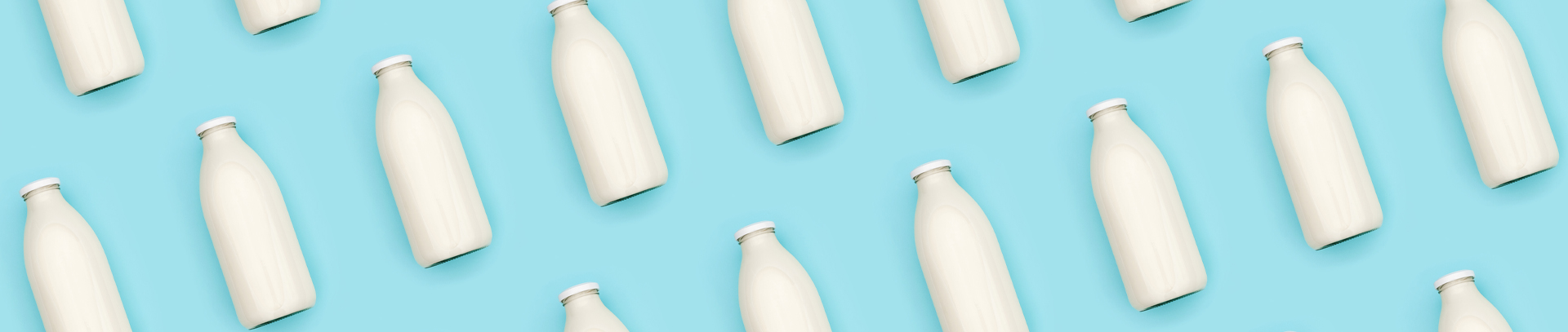 WMF Milk Type Explanations WMF Milk Type Explanations
